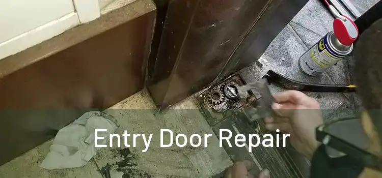 Entry Door Repair